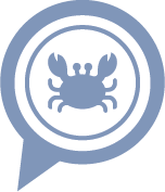 an illustration of crab.